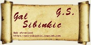 Gal Sibinkić vizit kartica